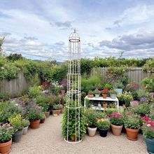 �Wʽ�_�R���Fˇ���ܻ��@ͥԺ�F��ɏ���ټ�����ֲ���������S��֧��