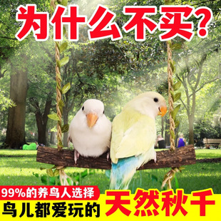 �W�^������ǧ���ĵ�����P��Ƥ����ĥצ��ҧ��ľ�B�\��Ʒ�≺��ˣ