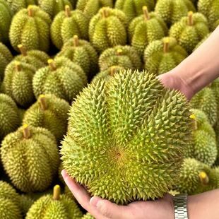 ��Ʒ�������r�ׁ���ɏ���������3��4���Ꭷˮ��ܛŴ����һ�����l