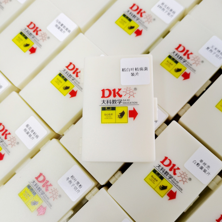 大科教学 植物病理学 稻白叶枯病菌装  显微生物玻片 农林学