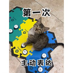 猫猫说话按钮垫子训练垫子猫狗说话猫狗说话录音宠物对话按钮发声