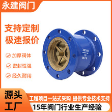 消声止回阀法兰球墨铸铁静音法兰阀门管道单向阀静音消声止回阀