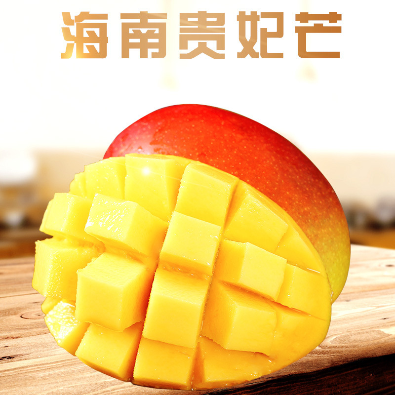 海南贵妃芒 代发1/9斤礼盒新鲜当季红金龙甜糯孕妇水果非凯特芒