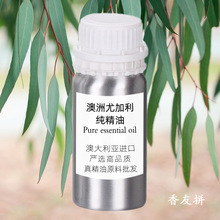 �����ȼ������� �������� ������޹ �����M��