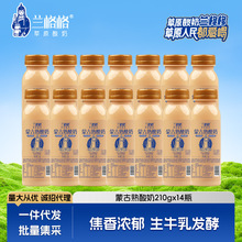 兰格格内蒙草原炭烧熟酸奶210g*14瓶生牛乳活菌发酵整箱批发