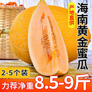 �����S���۹��������rˮ��һ�����l�����֭�F؛�a���ٰl������