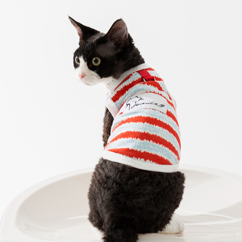 Primavera y verano lindos gatos rayos de dos patas falda sin pelo gato chaleco pareja vestido vestido vestido de gato mascota ropa de gato