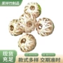 中秋节饭店酒店茶楼灯笼