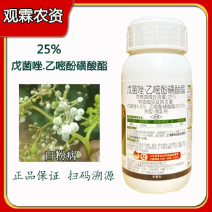 ���˵ô��˵ÝM��25%��������׷��S�������˵�΢�鄩���Ѱ׷۲�