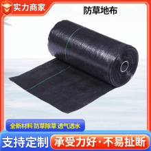 可定制防草地布防草布除草布农用抑草遮草布果园地布PE防草布加厚