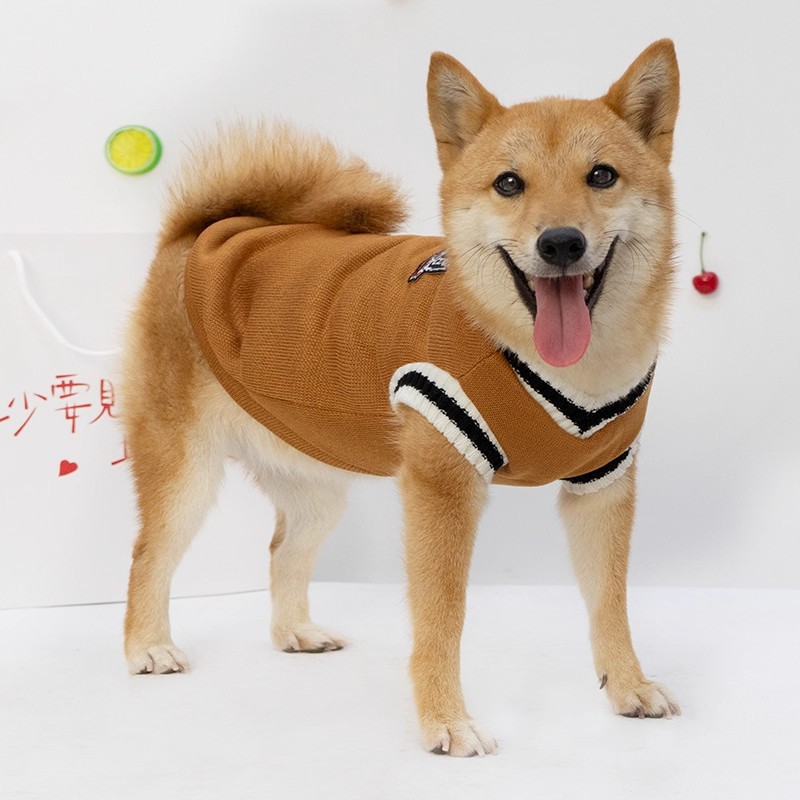Dog Clothes Autumn and Winter New Style Sweaters Shiba Inu Corgi Bichon Teddy Winter Warm Clothing College Style Sweatshirt
