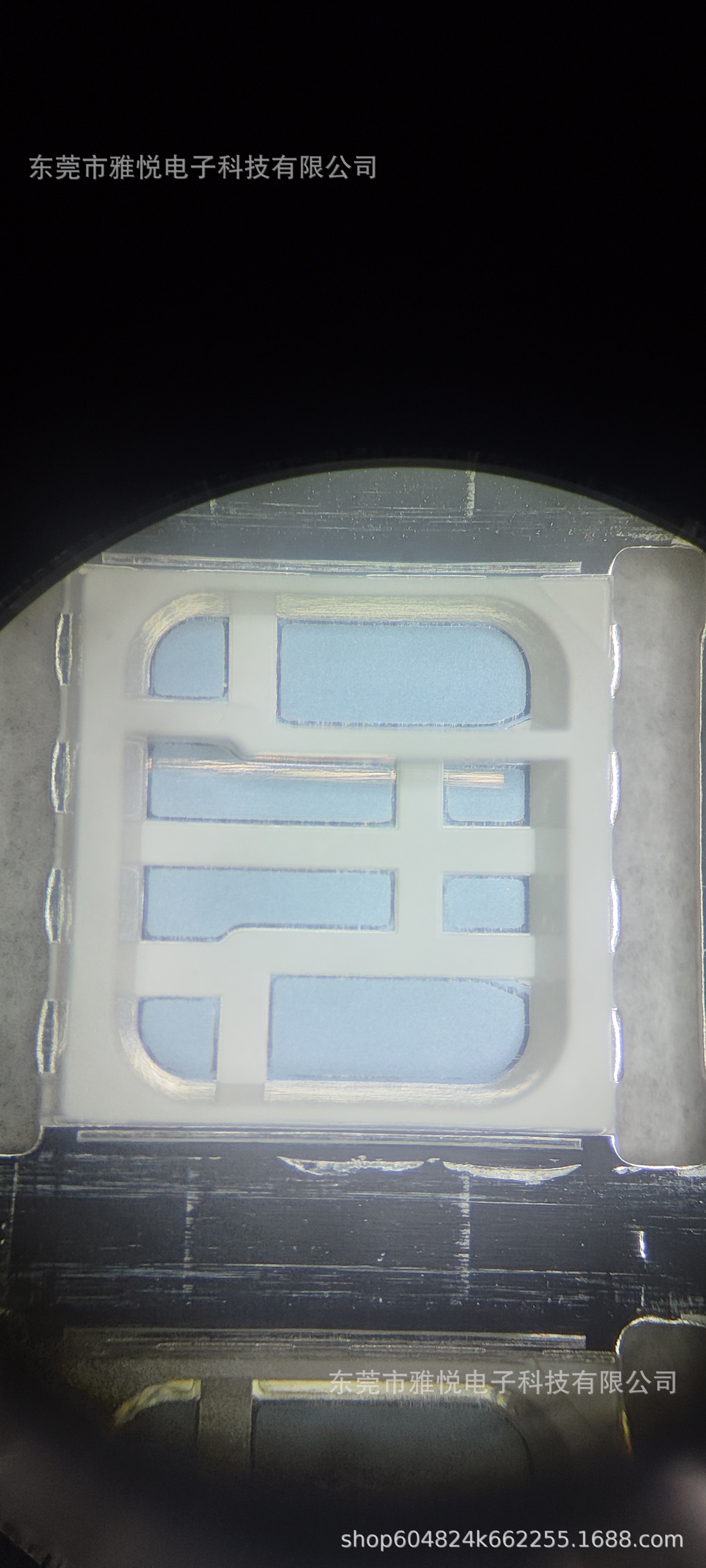 微信图片_20241017103130