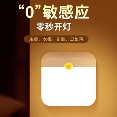 智能led红外人体感应灯卧室小夜灯床头起夜灯双色夜光充电免布线