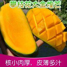 �Ĵ���֦������â������âQ���������r�r��ˮ���a��ֱ�l5/9��