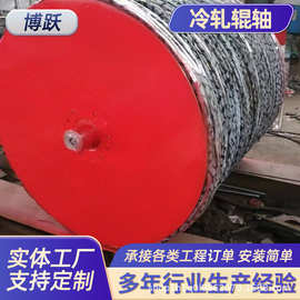 喷涂碳化钨厂家加工镀铬辊火焰喷涂工艺四氟内衬电镀辊无动力滚筒