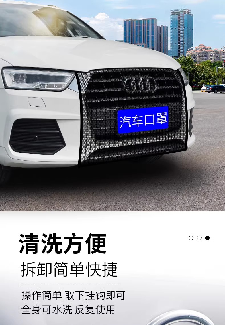 Magotan 21 Sagittarius Volkswagen Langyi plus Bora Passat Tiguan L Jetta vs5 Water Tank Protection Insect Net
