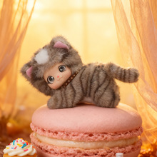 ������������zĘ؈��ë�q���ſ����؈�k�����[С¹��ż�羳���l