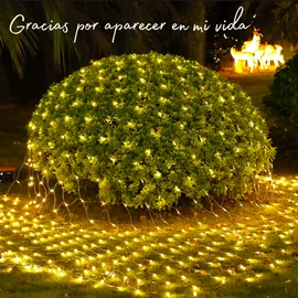 室外LED;LED装饰灯;室内LED