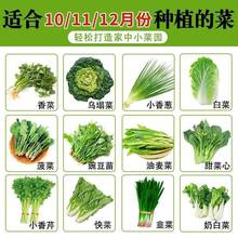 ���˲��˰ײ˷N���ļ��Ϸ���˷N�Ѵ�ȫ�ﶬ���˷N�r���̨�߲���