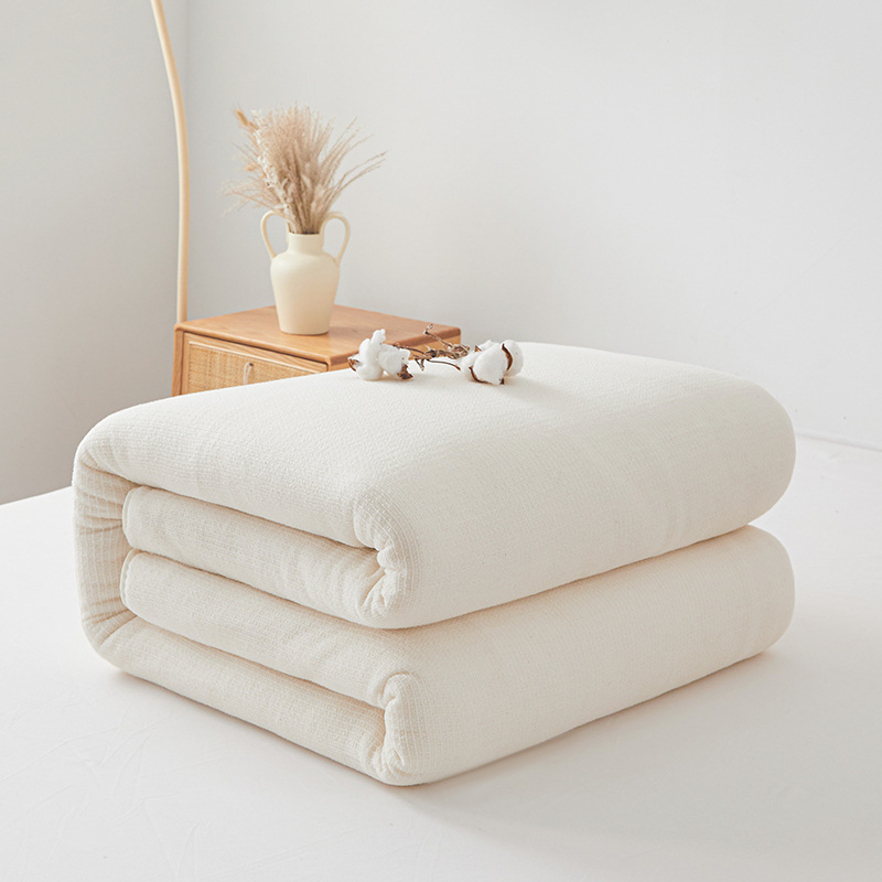 Jieliya Fish Scale Mesh Cotton Quilt Thickened Quilt Double Warm Quilt Core