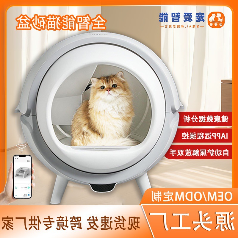 기본