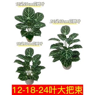 �S��ֱ�N����Gֲ���T�~ˮ���~��̖����ֲ�﷿�g�b����[��