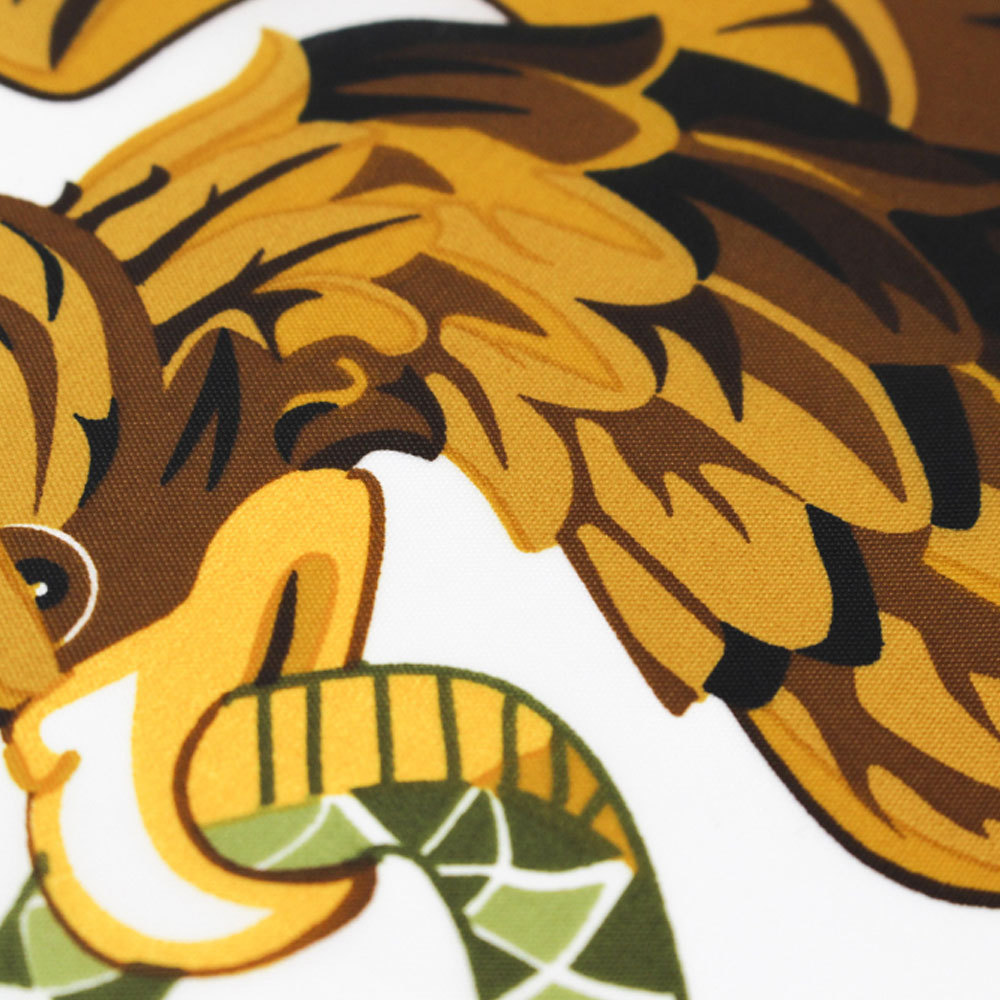 Silk Screen Mexican Flag Polyester Decoration For Parade Party Outdoor World Cup Hanging Colorful Home Garden Flag_voghion.com