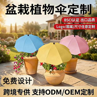 �羳�@ˇ�y�z������o���ز��ֲ�ﻨ�ܱ��o�㻨�@��������ꖂ�