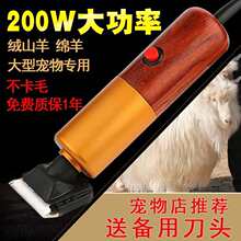 宠物电推剪200W大功率电动剪羊毛推子大型犬狗剃毛器马泰迪