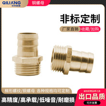 �~��ĸ�ӹ����ǌ������^���z�� M���ݼy�����ݼy��ĸ�ǘ˶���59�~