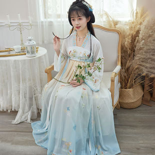 Summer New Hanfu dress Chinese Style Daily Work Qi Ru Chest Dress Embroidered Chiffon Midi Dress for Adults