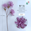 Realistic decorations for living room, layout, new collection, orchid