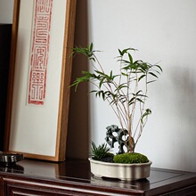 太湖石盆景】_太湖石盆景品牌/图片/价格_太湖石盆景批发_阿里巴巴