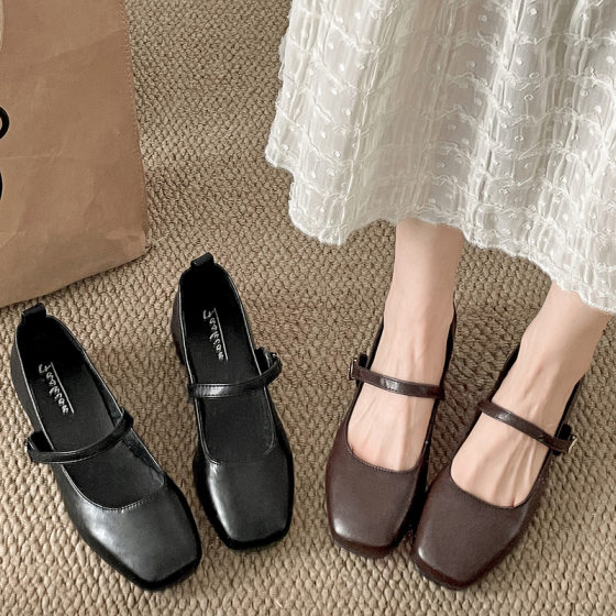 Fashion Elegant French Style Retro Square Toe Chunky Heel Small Leather Shoes Women's 2025 New Spring and Autumn Height Increasing Mary Jane Single Shoes
