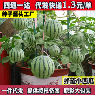 ����С����2K�N�ӱ�Ƥ���Ѽtȿ���������̨ˮ���N���ļ����N