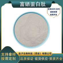 ������������������������ֲ�������װ��������Ż��ֻ�