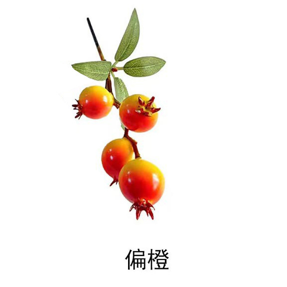 작은 석류 4개