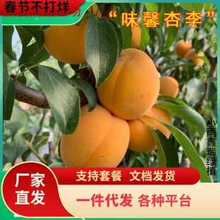 һ�����lζܰ�������޽��ش�������������÷���������ϱ����N
