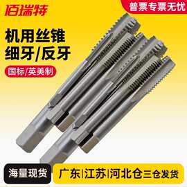 细牙反牙英美制直槽全磨制机用丝锥HSS高速钢丝攻挤压先端丝攻牙