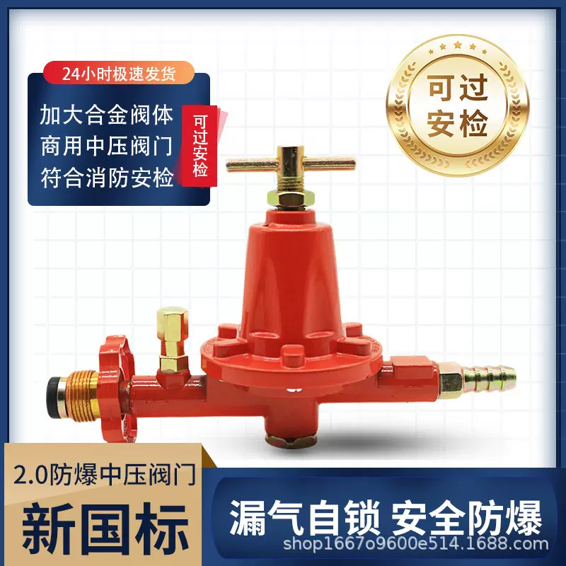 安检商用指定高压调节漏气保护防爆减压阀煤气减压阀中压阀减压阀