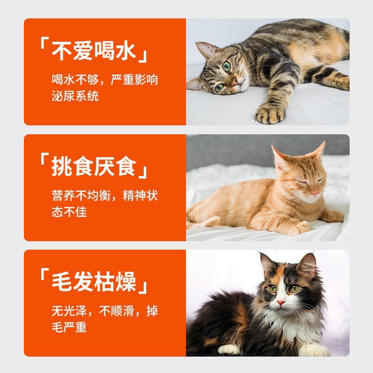 Alimentos básicos enlatados para gatos