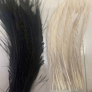 ����Óɫ��ȸ��ë�ݳ�����^������������30-35cm��ȸ��ë