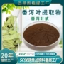 番泻叶番泻叶粉提取物