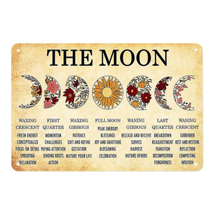 Moon Phase Tin Painting New Moon to Full Moon Life Guidelines Home Office Yoga Meditation Room Decoration