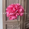 Peony hydrangea