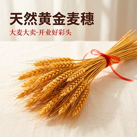 鲜花包装;织带;鲜花花艺制品