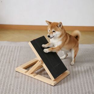 ��������ָ�װ���ʳ��ʳĥ�����Ԅ�ĥצ�ӌ��ﻥ������ʳ�����