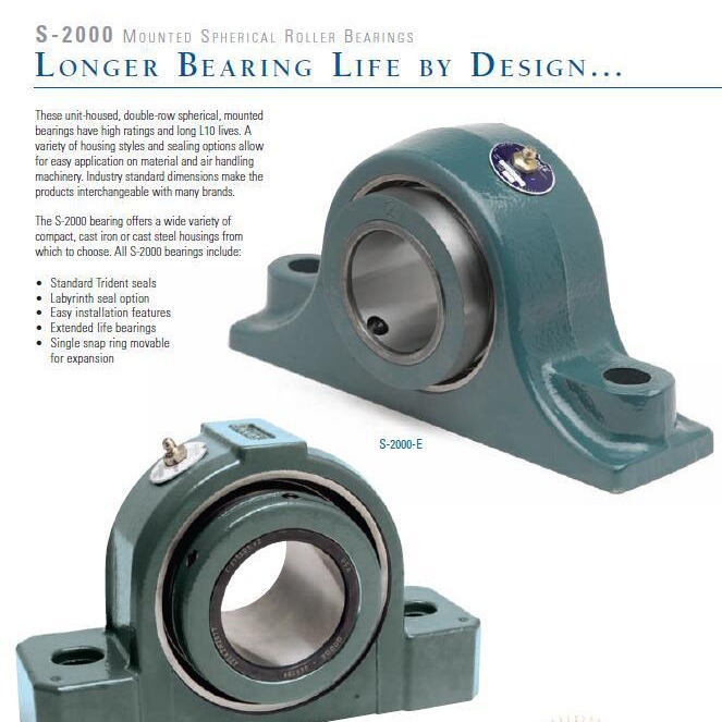 P2B-S2-300RE 070309美国道齐带座轴承