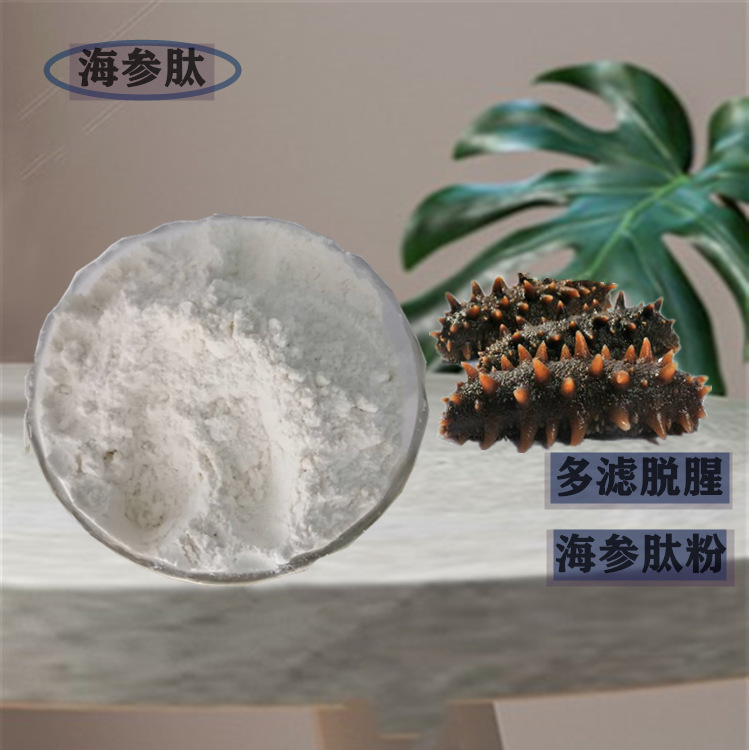 海参肽 供应%90海参肽粉 恒帆生物小分子肽粉100g/包装