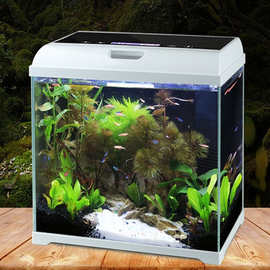 桌面鱼缸生态鱼缸水族箱玻璃热带鱼金创意超白水草造景AT-350